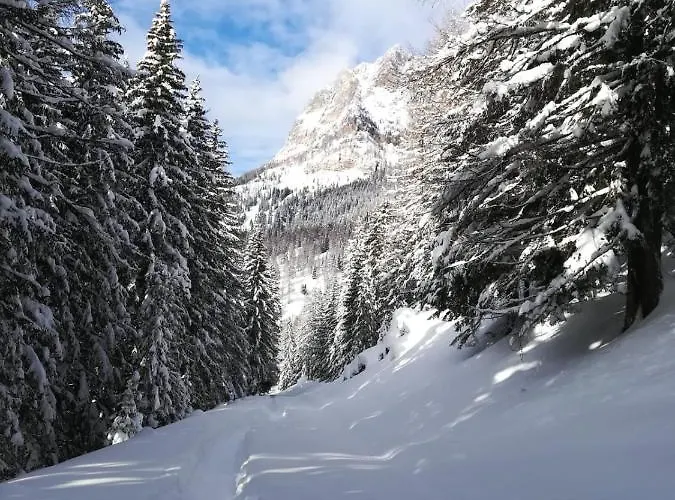 Vista Pelmo Colle Santa Lucia